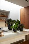 jazz rond 26cm living black